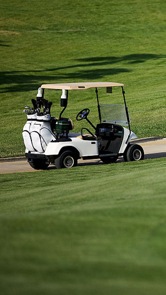 场内电动车行业